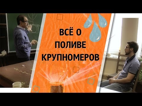Видео: АВТОПОЛИВ для ДЕРЕВЬЕВ - КАК их правильно ПОЛИВАТЬ? | Рекомендации от специалиста из МГУ