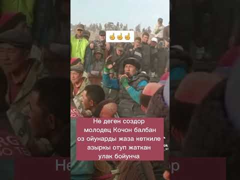 Видео: Ааа молодец Кочон балбан токотор жерин айты.