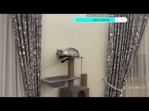 Видео: Добрый вечер