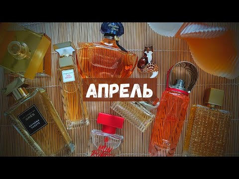 Видео: Что ношу, что купила, что носила и разнашиваю. Покупки в апреле. Новые ароматы в коллекции 🛍️