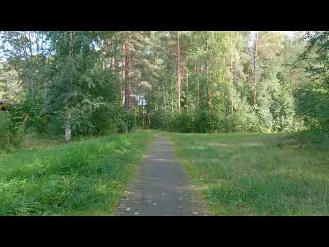 Видео: Август завершается/Катим по дорожкам 2ч.