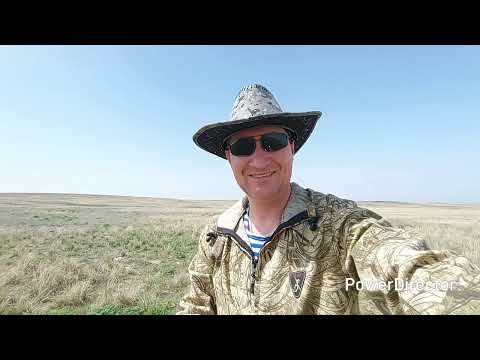 Видео: По грибы на Малайсары 13.04.2025 г.