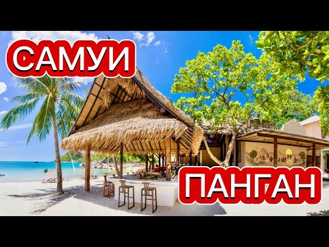 Видео: С САМУИ НА ПАНГАН САМОСТОЯТЕЛЬНО I ГДЕ ДЕШЕВЛЕ? I Таиланд  I Актуальные цены I