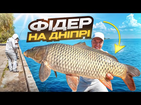 Видео: ВИКОРМИВ ТРОФЕЙ — ШНУР РВЕ, ФРИКЦІОН КРИЧИТЬ! 0.12 ПОВІДОК, №14 ГАЧОК—ЦЕ БОЖЕВІЛЛЯ‼️