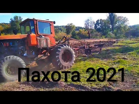 Видео: Дт-75 на колесах. Оранка 2021. Проблемы переделок