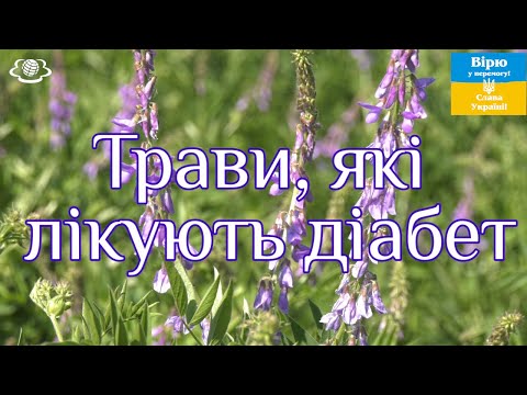 Видео: Трави, які лікують діабет