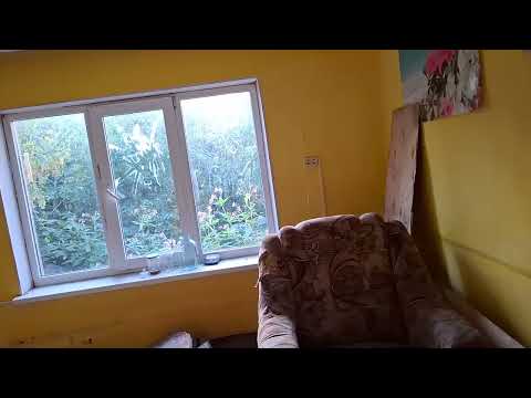 Видео: заброшенный дом секретным входом.