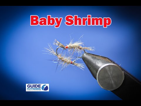 Видео: «Малыши-креветки — то, что вам нужно»