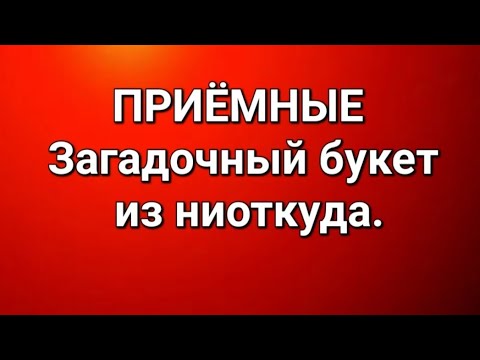 Видео: Приёмные/В последних сериях. 