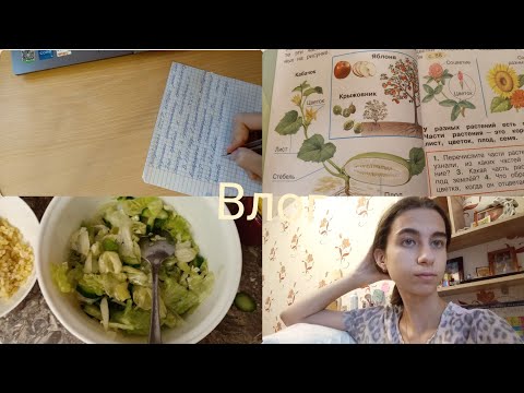 Видео: Влог: много учебы/вкусный салат/уроки с сестрой #рекомендации #тренды 