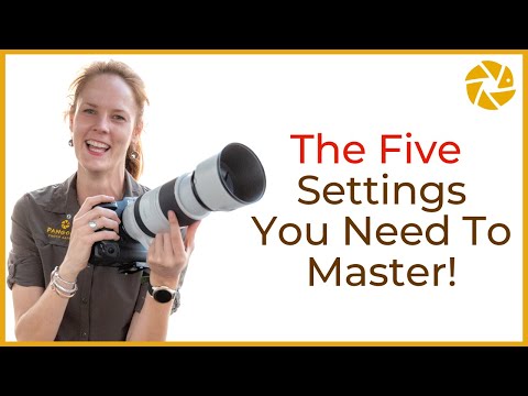 Видео: Советы по фотосъемке природы для начинающих