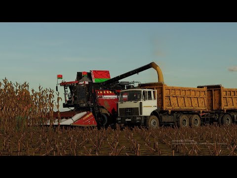 Видео: Уборочная компания кукурузы на зерно в ОАО КРАСНОАРМЕЕЦ 🇧🇾🌾