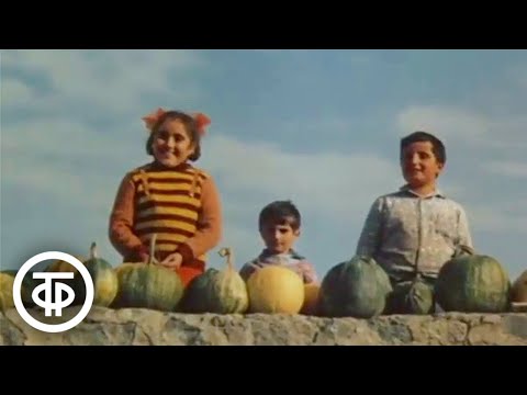 Видео: Дорога на Зангезур. Документальный фильм (1984)