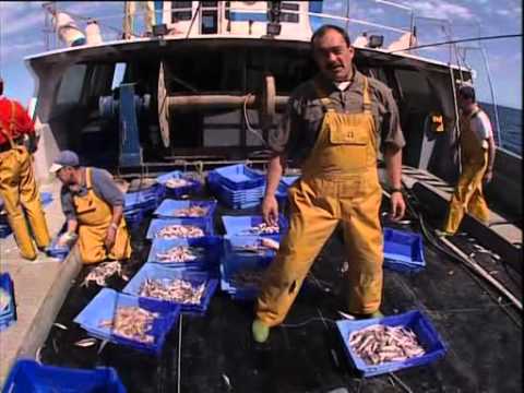 Видео: В поисках приключений   Каталония 2