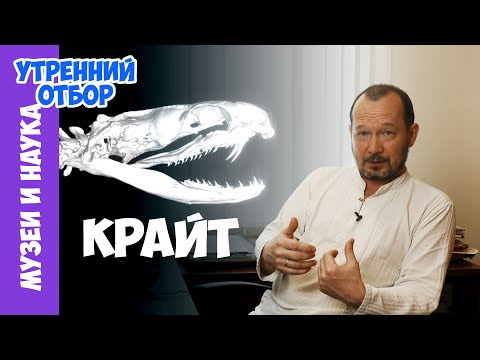 Видео: Два смертельных укуса. Новый крайт. Игорь Фадеев