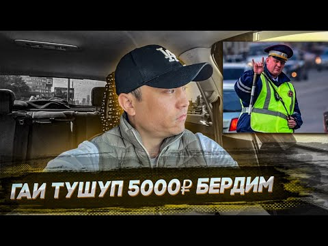Видео: Штраф жазам дейт…. Белес паркы белек берди 🎁