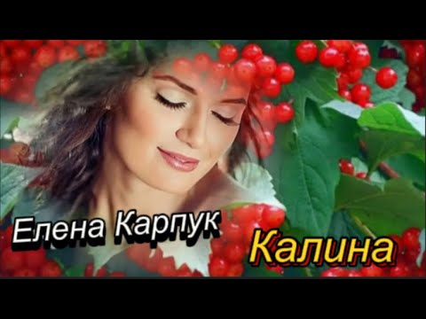 Видео: Калина! Елена Карпук!