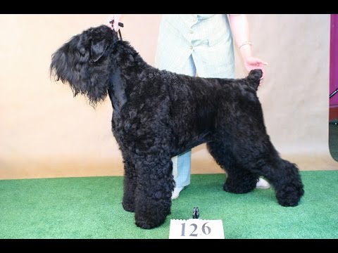 Видео: Малаховский питомник...