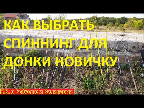 Видео: Как выбрать хороший ЧУВСТВИТЕЛЬНЫЙ и бюджетный спиннинг для донки ВСЕ ОТ А ДО Я, мой выбор.