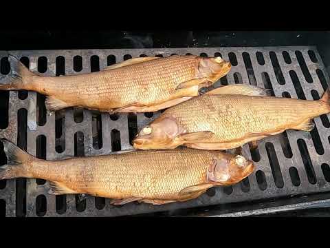 Видео: 👍👍👍 Как я копчу хариуса.