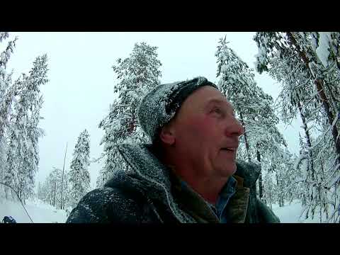 Видео: Топчу путик на снегоходе,есть трофей.