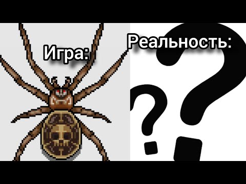 Видео: СУЩЕСТВА В РЕАЛЬНОСТИ из Pocket Ants