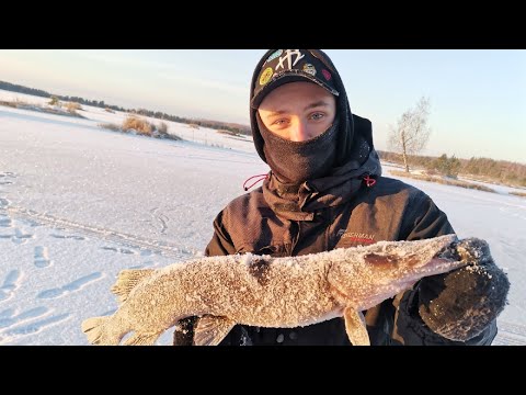 Видео: Открытие зимнего сезона!!! Ловля чёрной щуки!!!!