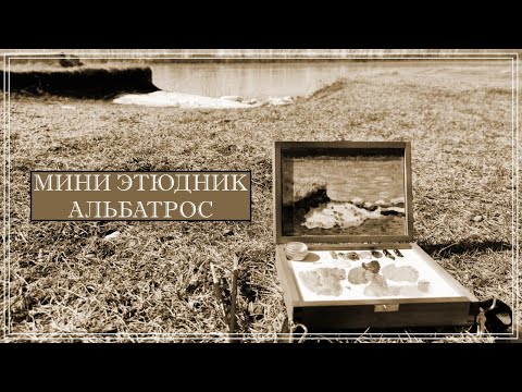 Видео: МИНИ ЭТЮДНИК АЛЬБАТРОС