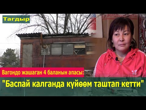 Видео: "Стресстен арылайын деп ичип да көрдүм" -дейт 4 баланын энеси