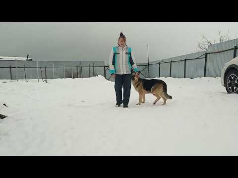 Видео: "Сидеть, лежать, стоять". Дополнение к предидущему видео.