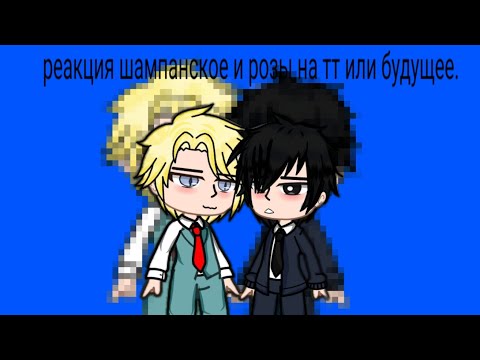 Видео: Реакция Шампанское и розы на тт.