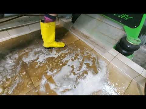 Видео: Грязь льётся ручьём: такого ковра давно не было! / The mud is pouring in a stream: a very dirty rug!