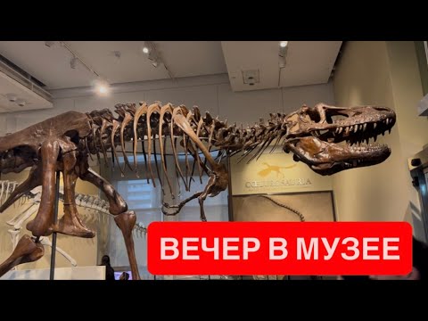 Видео: ВЕЧЕР В МУЗЕЕ. КАНАДА