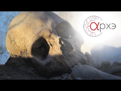 Видео: Станислав Дробышевский| Антропология - наука о человеке