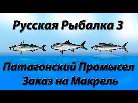 Видео: Патагонский Промысел Заказ на Макрель