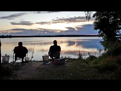 Видео: Рыбалка с Ночевкой на Чигиринском Водохранилище. Карась и Подлещик на Фидер. Рыбалка на Карася.