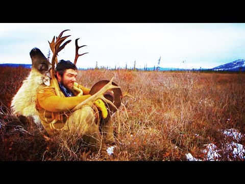 Видео: Охота на карибу. Снежный человек Ларэми Миллер (Охотник и рыболов)