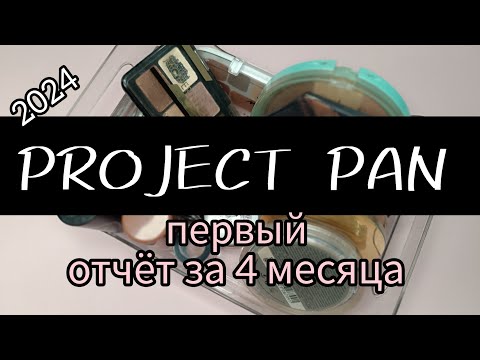Видео: PROJECT PAN 2024 |  Первый Отчёт за 4 Месяца | КАКИЕ РЕЗУЛЬТАТЫ?