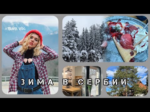 Видео: ЗЛАТИБОР - СТОИТ ЛИ ЕХАТЬ ЗИМОЙ ? ❄️ ИНФРАСТРУКТУРА, КВАРТИРЫ, РЕСТОРАНЫ, ЦЕНЫ📍