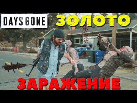 Видео: Days Gone(Жизнь После) - Я взял ЗОЛОТО! Испытание Заражение!