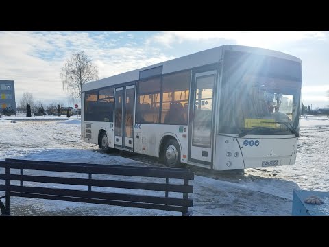 Видео: Автобус №216. ЖД Толочин - АС Круглое