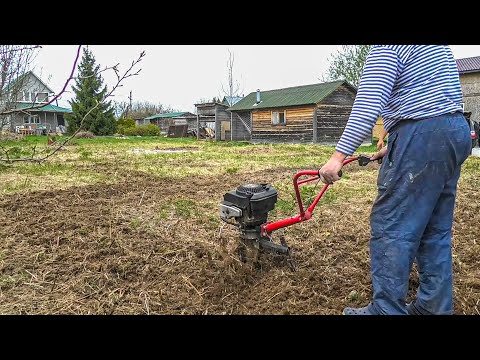 Видео: ДЕЛАЕМ ЛУЖАЙКУ МЕЧТЫ.  ЧАСТЬ 2. КУЛЬТИВАЦИЯ И ВЫРАВНИВАНИЕ УЧАСТКА. ПОСЕИЛИ НАШ ПЕРВЫЙ ГАЗОН.