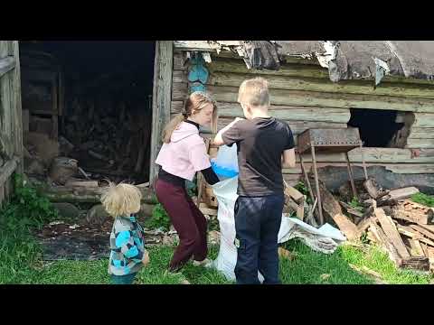 Видео: Сажаем картошку, мерим поле, запускаем курочек в сарай.