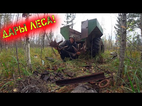 Видео: СЕГОДНЯ ОТЛИЧИЛИСЬ ВСЕ!!! УДАЧНЫЙ ВЫЕЗД В ЛЕС ЗА МЕТАЛЛОЛОМОМ!!! ОТЛИЧНЫЕ НАХОДКИ!