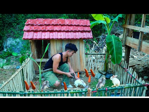 Видео: Строим ферму в 20 лет: как построить традиционную клетку для кроликов и жить самостоятельно.