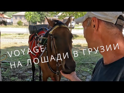 Видео: 3 Georgia Грузия Верхом на лошади  Первые 3 дня путешествия Первые сложности Немецкий город Болниси