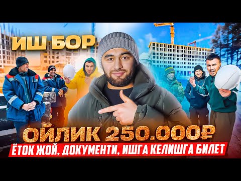 Видео: Иш бор ойига 250.000₽ ёток жой документ ишга келмокчи болганларга билетихам