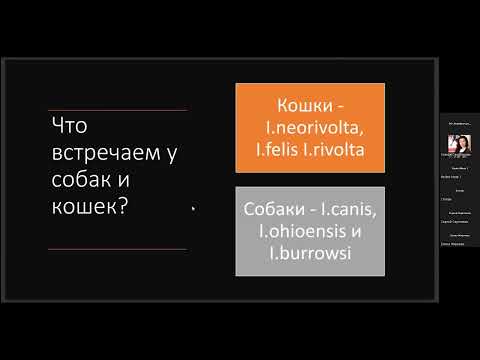 Видео: 14.09.22 «Кокцидиозы у собак. Что нового в лечении?»