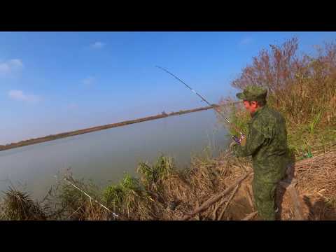 Видео: рыбалка на кубани рыбалка на реке кубань рыбалка на кубани 2020 рыбалка темрюкский район темрюк