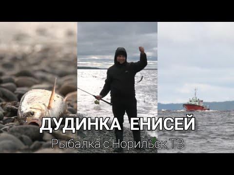 Видео: Рыбалка на реке Енисей с Норильск ТВ